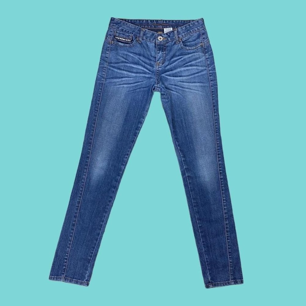 Vintage Mudd Skinny Jeans